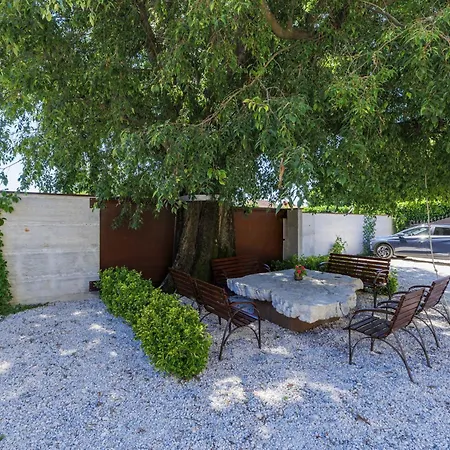 Nino-2 By Interhome Διαμέρισμα *